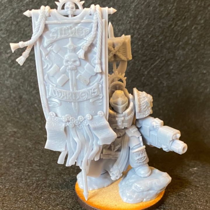 Silver Wardens Lobotomized Battlefield Servants (presupp)
- Silver Wardens - Dmg miniatures