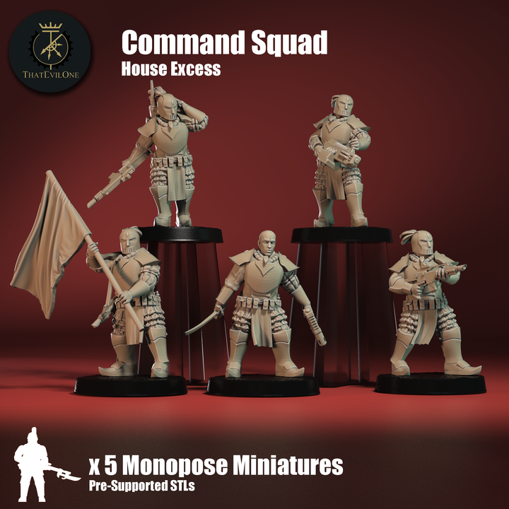 House Excess Command Squad - ThatEvilOne - 28mm