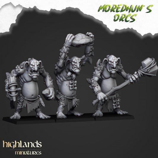 Orcs and Goblins - Cave Trolls - Highlands Miniatures