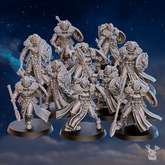 IIcewall Squad x10 - Dakkadakka