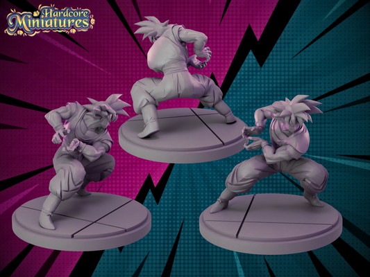 Goku Kame - Hardcore Miniatures