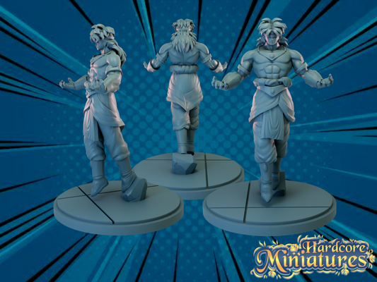 Broly V2 - Hardcore Miniatures