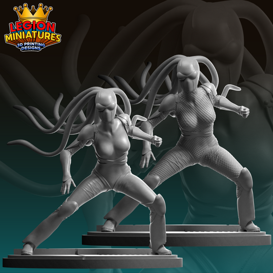 Flash Stan Lee - Legion Miniatures