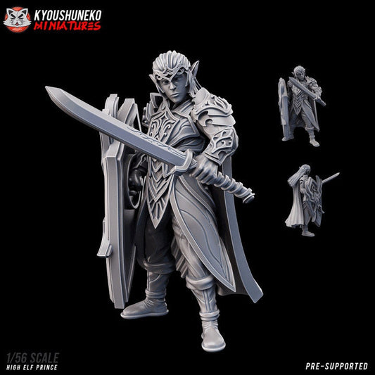 High Elf Prince - Kyoushuneko Miniatures