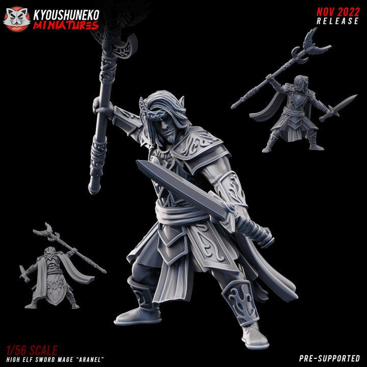 High Elf Sword Mage Aranel - Kyoushuneko Miniatures