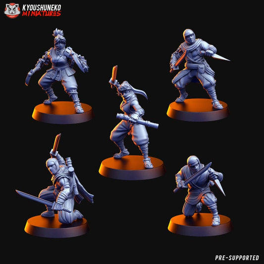 Ninja Units - Kyoushuneko Miniatures