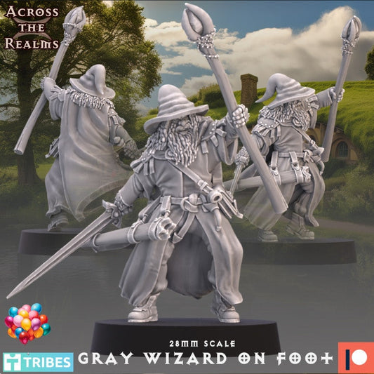 Gray Wizard on foot - Across the Realms 28mm