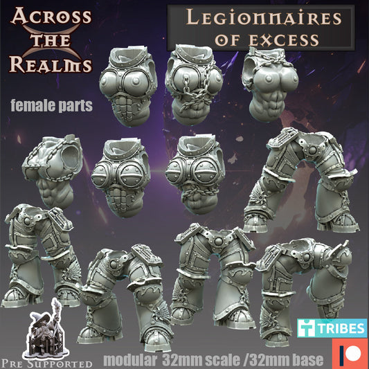 Legionaires of Excess Bits vers.C Torsos and Legs - Across the Realms 32mm