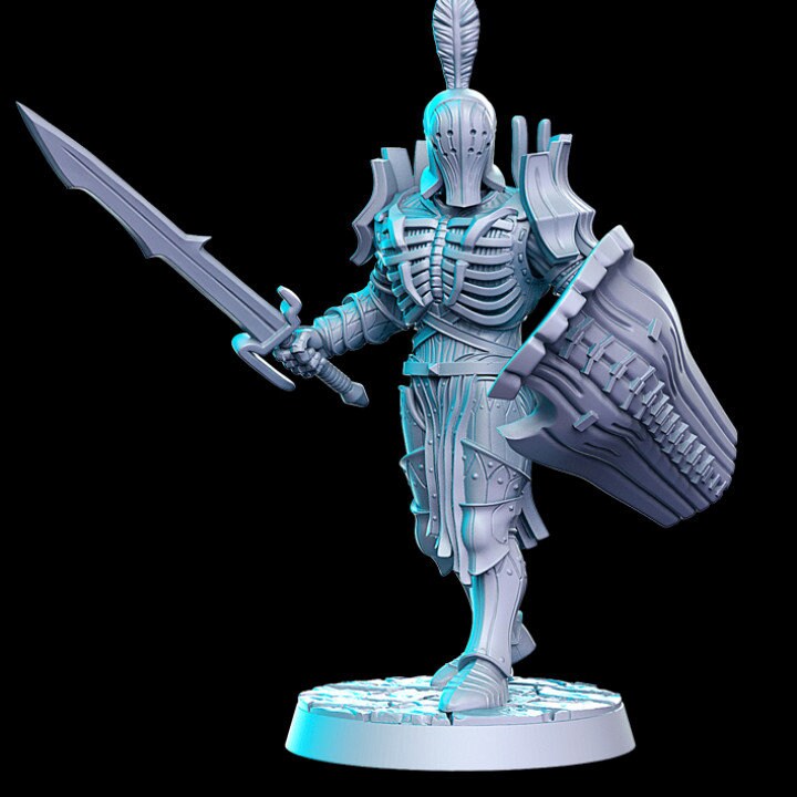 Amladril with sword and shield (elven deathknight) - Rnestudio 32mm