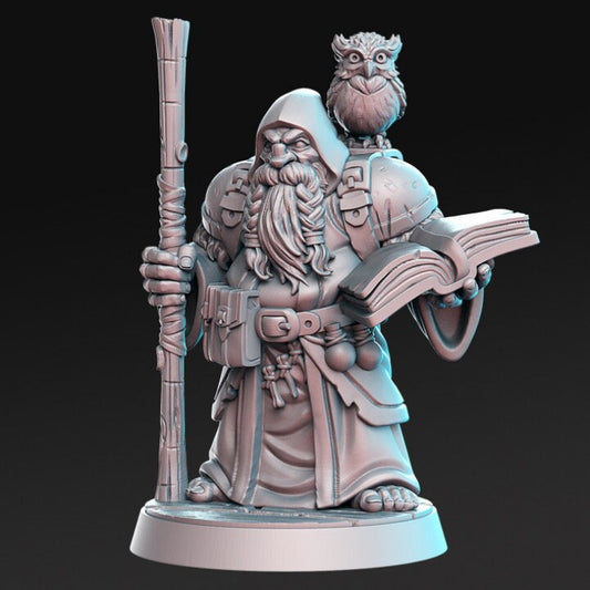 Dramnir - Dwarf Wizard with owl - Rnestudio 32mm