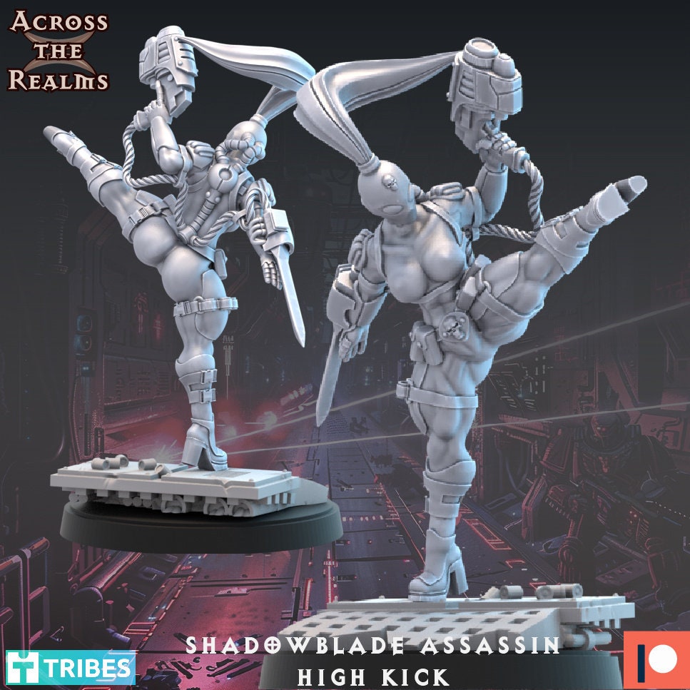 Shadowblade Assassin - High Kick - Across the Realms 32mm