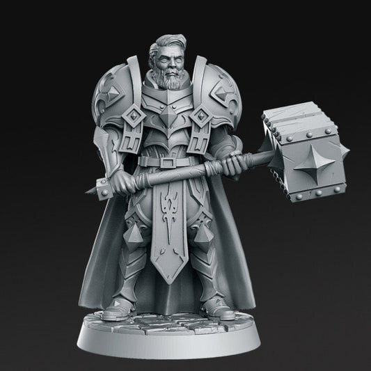 Sir Warrick - Male Paladin - Rnestudio 32mm