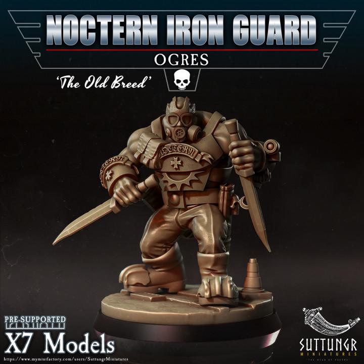 Noctern Iron Guard - Ogres v1 - Suttungr Miniatures - 28mm