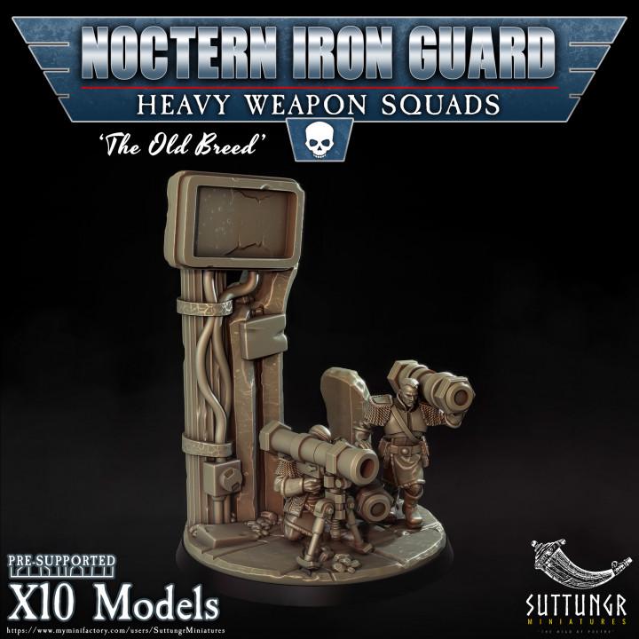 Noctern Iron Guard - Heavy Weapons Squad v3 - Suttungr Miniatures - 28mm