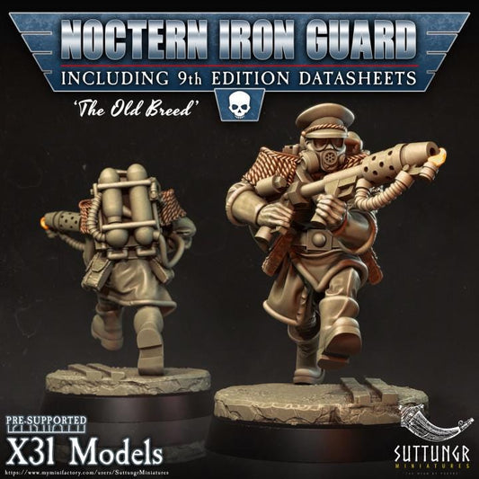 Noctern Iron Guard - v9 - Suttungr Miniatures - 28mm