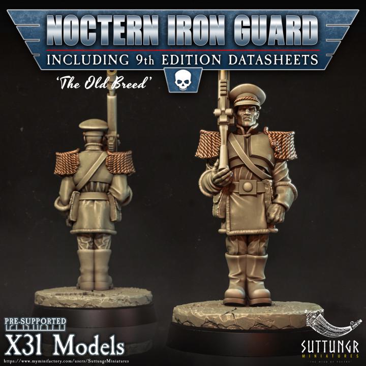 Noctern Iron Guard - v25 - Suttungr Miniatures - 28mm