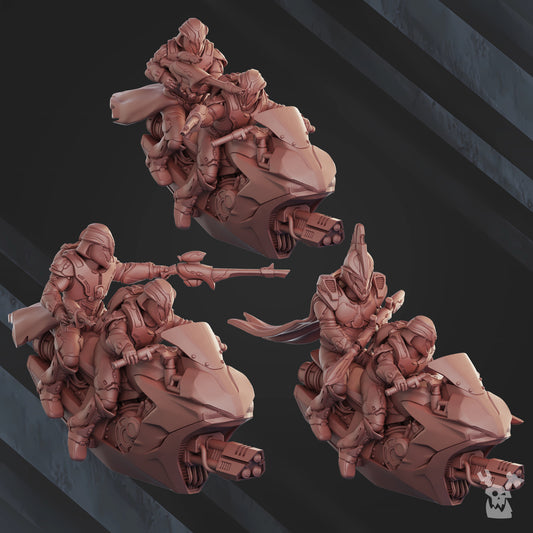 Rapid Chasers Squadron - Dakkadakka