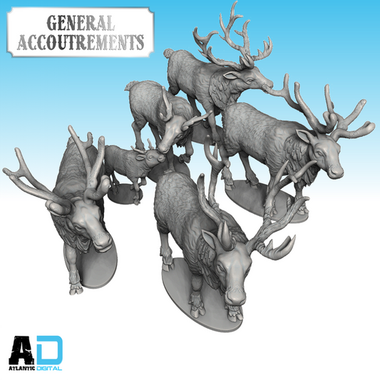 Reindeer
 - General Accoutrements    - Wargames Atlantic