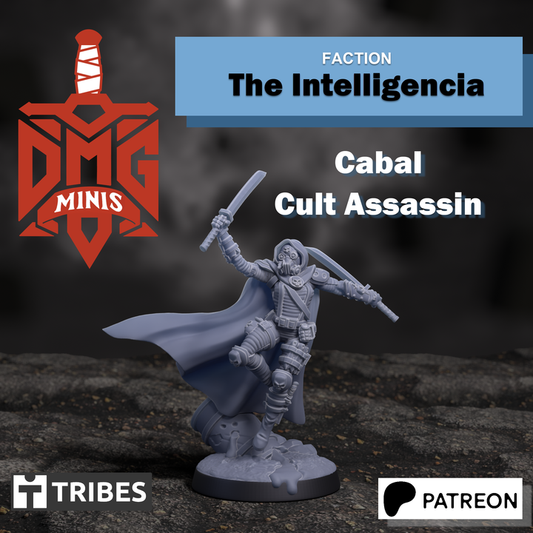 Intelligencia Cabal Assassin  - The Instelllgencia - Dmg miniatures