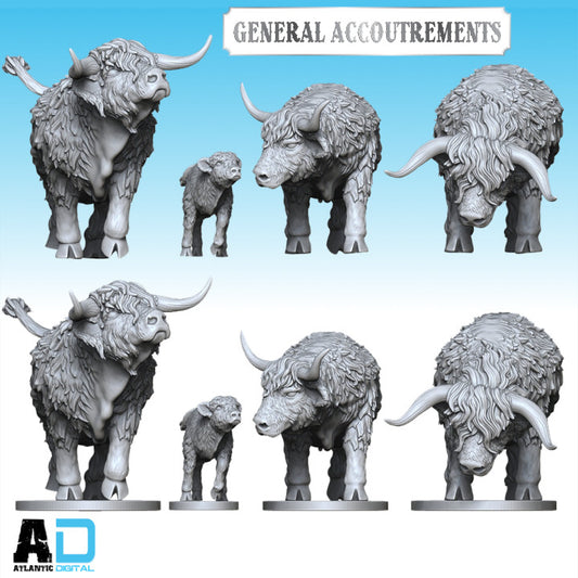 Highland Cattle

  - General Accoutrements  - Wargames Atlantic