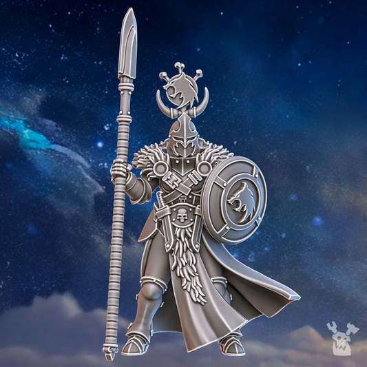 Stormpride Sister with a Spear - Dakkadakka